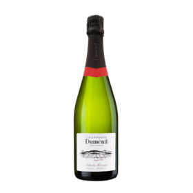 Champagne Dumenil Noirs de Montagne